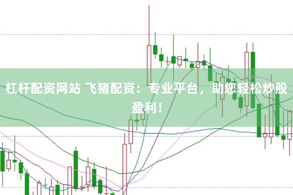 杠杆配资网站 飞猪配资：专业平台，助您轻松炒股盈利！