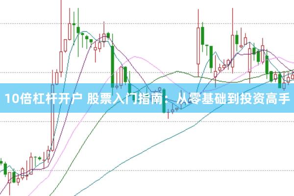 10倍杠杆开户 股票入门指南：从零基础到投资高手