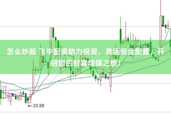 怎么炒股 飞牛配资助力投资，灵活资金配置，开启您的财富增值之旅！
