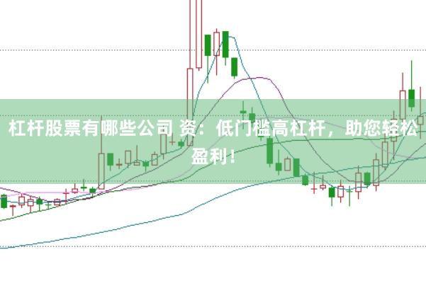 杠杆股票有哪些公司 资：低门槛高杠杆，助您轻松盈利！