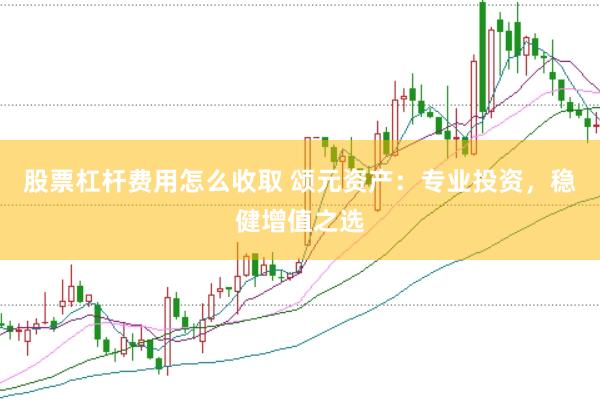 股票杠杆费用怎么收取 颂元资产：专业投资，稳健增值之选