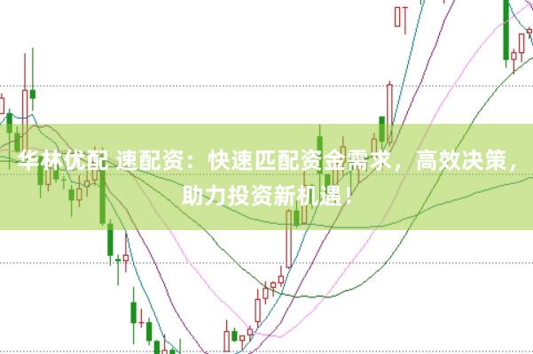 华林优配 速配资：快速匹配资金需求，高效决策，助力投资新机遇！