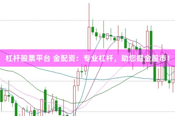 杠杆股票平台 金配资：专业杠杆，助您掘金股市！
