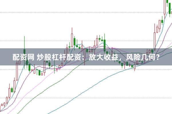 配资网 炒股杠杆配资：放大收益，风险几何？