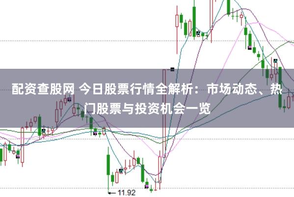 配资查股网 今日股票行情全解析：市场动态、热门股票与投资机会一览