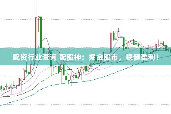 配资行业查询 配股神：掘金股市，稳健盈利！