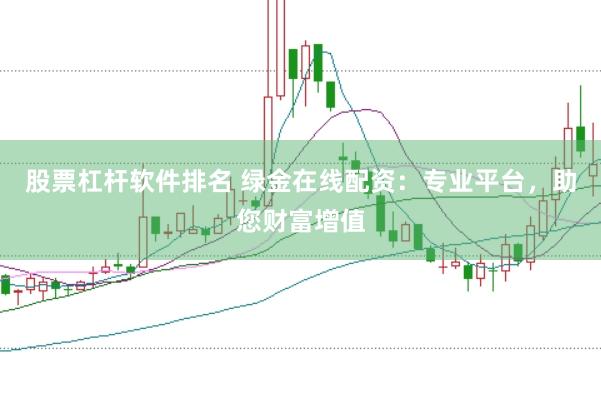 股票杠杆软件排名 绿金在线配资：专业平台，助您财富增值
