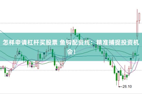 怎样申请杠杆买股票 鱼钩配资线：精准捕捉投资机会！
