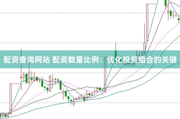 配资查询网站 配资数量比例：优化投资组合的关键