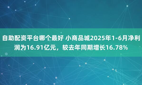 自助配资平台哪个最好 小商品城2025年1-6月净利润为16.91亿元，较去年同期增长16.78%