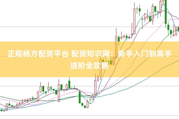 正规杨方配资平台 配资知识网：新手入门到高手进阶全攻略