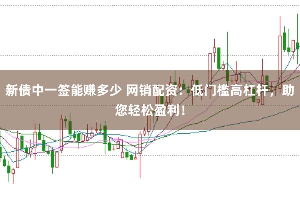 新债中一签能赚多少 网销配资：低门槛高杠杆，助您轻松盈利！