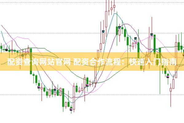 配资查询网站官网 配资合作流程：快速入门指南