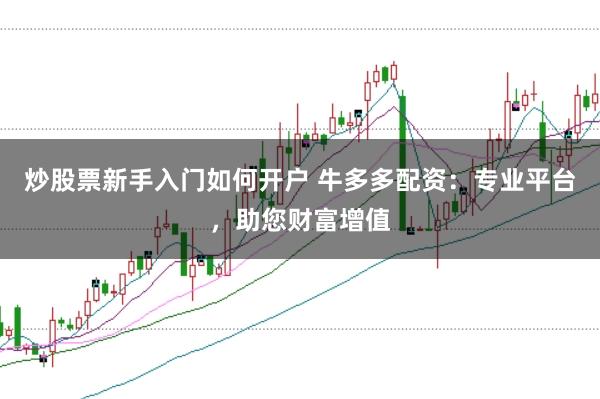 炒股票新手入门如何开户 牛多多配资:专业平台,助您财富增值
