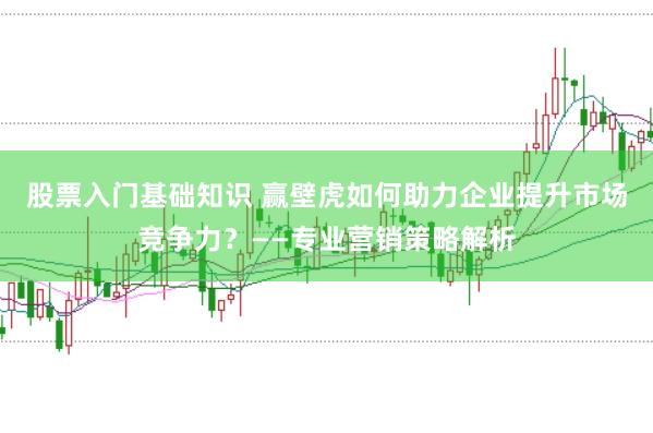 股票入门基础知识 赢壁虎如何助力企业提升市场竞争力?——专业营销策略解析