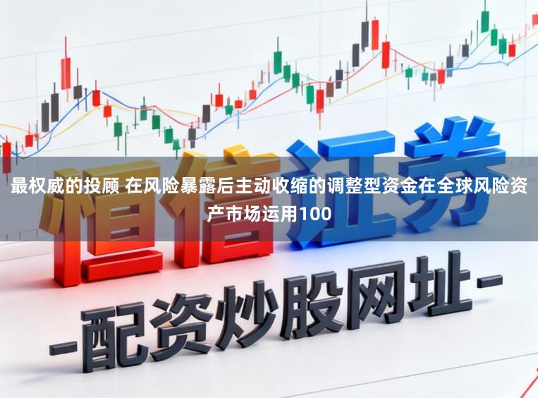 最权威的投顾 在风险暴露后主动收缩的调整型资金在全球风险资产市场运用100