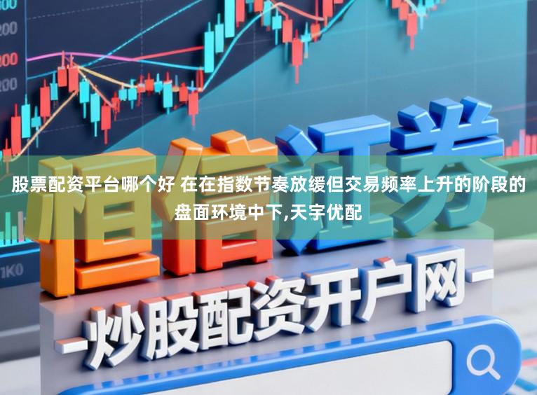 股票配资平台哪个好 在在指数节奏放缓但交易频率上升的阶段的盘面环境中下，天宇优配