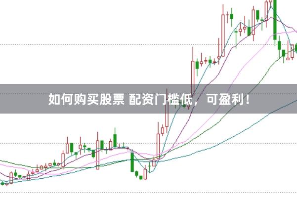 如何购买股票 配资门槛低，可盈利！